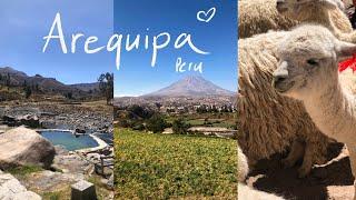 Day 5 & 6 - Arequipa and Colca Canyon, Peru 