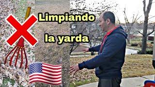 Limpia fácil tu patio en usa|Limpieza de patio