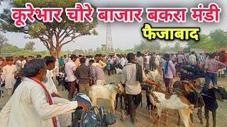 kurebhar Bakra Mandi | चौरे बाजार बकरा मंडी फैजाबाद ||