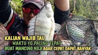 Waktu yg paling tepat buat Mancing Nila||Agar dapat banyak.