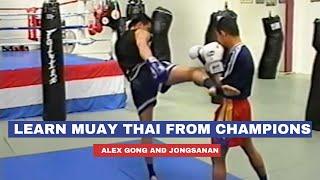 Basic Muay Thai instructional For Beginners