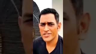 MS Dhoni Cricket Academy|Best cricket academy in Hyderabad #cricket #dps