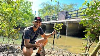 SOLO Land Fishing Challenge In Far North Queensland