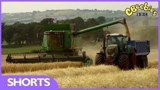 CBeebies: Harvest Time With Down On The Farm