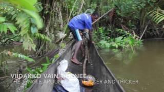 Boar hunting in Papua New Guinea