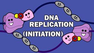 DNA REPLICATION (1/3) - INITIATION