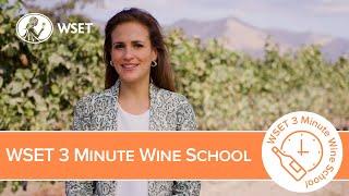 Welcome to the WSET 3 Minute Wine School