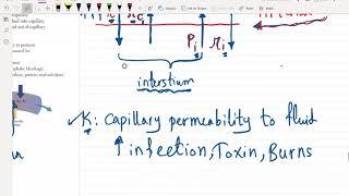 ECG Part 1 for USMLE Step 1 and Step 2 CK - (Free trial course in Description Below)