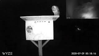 Hootie on guard duty, Winkler delivers