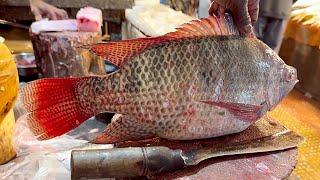 Amazing Giant Tilapia Fish Cutting Skills Live In Fish Market | Fish Cutting Skills