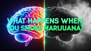 Inside the High: What Really Happens to Your Brain and Body When You Smoke Marijuana