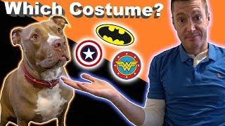 Which Halloween Costume will Penny Pick?