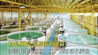 以色列是怎樣養魚的？沙漠中建養魚場，工廠化自動化養魚，真先進！