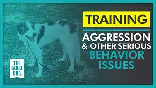Aggression and other serious behavior issues | The Good Dog Training