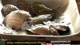 Vellayani Lake receives fresh fish stock