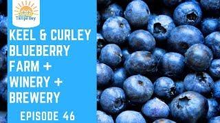 Keel and Curley Winery, Blueberry Farm, and Brewery [Plant City]