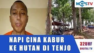 WNA CINA NAPI LAPAS TANGERANG KASUS NARKOBA DIDUGA  KABUR KE HUTAN TENJO BOGOR