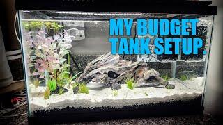 I bought a 10 gallon tank from Petco and here's my setup