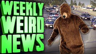 Framing Bears For Crimes - Weekly Weird News