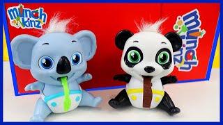 Back to Toy School with Munchkinz I Kiwi the Koala and Chowy the Panda Who can munch faster