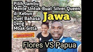 Duel Bahasa "Jawa" Papua VS Flores sambil Pilih  Jambu Mente di Kebun