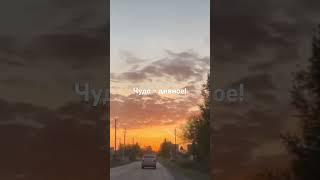 Выразить свой восторг...