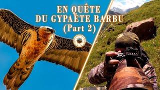 EN QUÊTE DU GYPAÈTE BARBU (Part 2) - PHOTOGRAPHIE ANIMALIÈRE