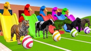 4 Giant Ducks Gorilla Cows Tigers Lions Elephant Fountain Crossing Animal Transforms Paint Animals