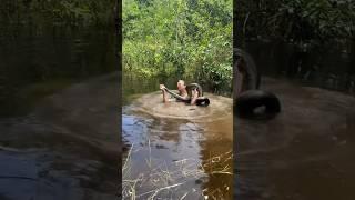 Catching an anaconda in the Amazon rainforest! #snake#wildlife#animals#viral#youtube#jungle#crazy