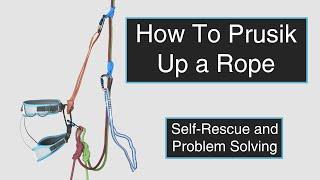 How To Prusik Up a Rope - Trad Climbing Self-Rescue Skills