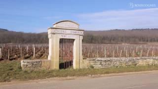 The Côte de Nuits explained by Jean-Pierre Renard