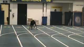 Olympic Champion Allyson Felix  2011 Christmas break practice at University of Michigan