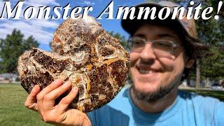 We Found a MONSTER Ammonite Covered in Sutures and Ammolite! Fossil Hunt, Repair, Prep, and Polish!