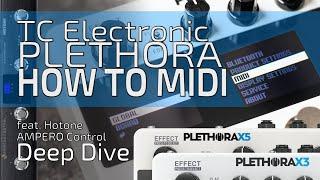 TC Electronic PLETHORA X3: The ultimate MIDI guide (feat. Hotone AMPERO Control) | Deep Dive