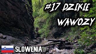 DZIKIE wąwozy Słowenii | #17 #słowenia