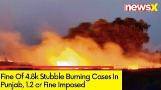 Fine Of 4.8k Stubble Burning Cases In Punjab | 1.2 cr Fine Imposed | NewsX