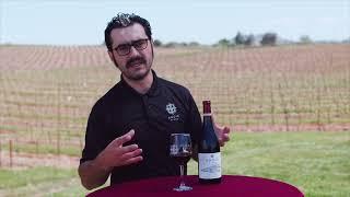 Andis Wines Wine Tasting - 2018 Sierra Foothills En Or