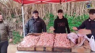 Buharun City Today, the price of shrimp is always Brother Ayoub / Buharun Port Fish Market