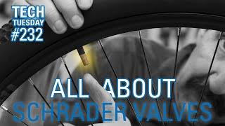 All About Schrader Valves | Tech Tuesday #232