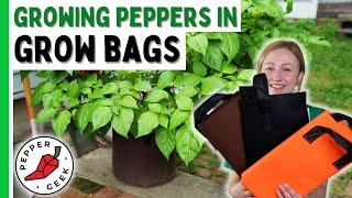 Growing Peppers in Grow Bags - Pros and Cons - Pepper Geek