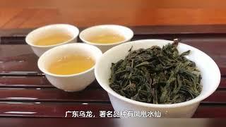 青茶四大茶类，乌龙茶的分类