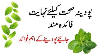 mint benefits in urdu | mint ke fayde | pudina ke fayde | podina k faidy