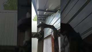 Петли на калитке #сад # #огород #дача #частныедома