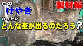 【玉杢出るか？】ケヤキ原木から一枚板を製材【木の店さんもく】Japanese Zelkova Sawing (English subbed)