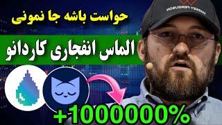 این ارزها میتونن زندگیتو عوض کنن  ارزهای انفجاری کاردانو برای رشد های عظیم آماده هستند ( غافل نشه )