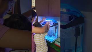 Ayansh New Friends..  #shorts #youtubeshorts #trending #fish #aquarium #viralshort #animallover