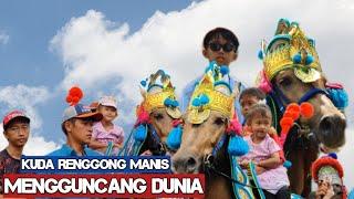 Renggong horses make godin - Horse dance video