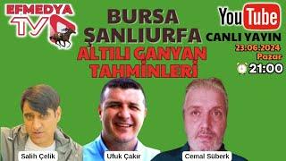 24.06.2024 Pazartesi Bursa ve Şanlıurfa Altılı Ganyan Tahminleri