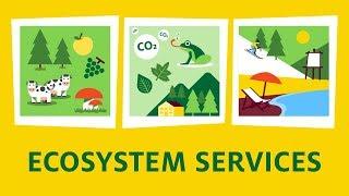 What are ecosystem services?