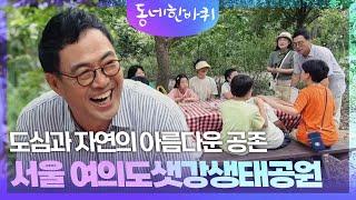 도심과 자연의 아름다운 공존 ‘서울 여의도샛강생태공원’ [동네 한 바퀴] | KBS 240831 방송